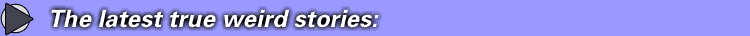 i would make the world better by